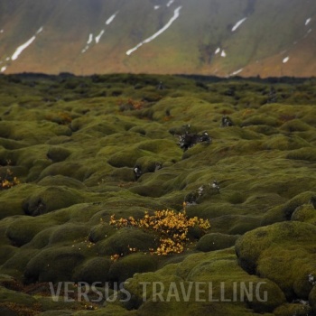 Iceland Volcanic Field