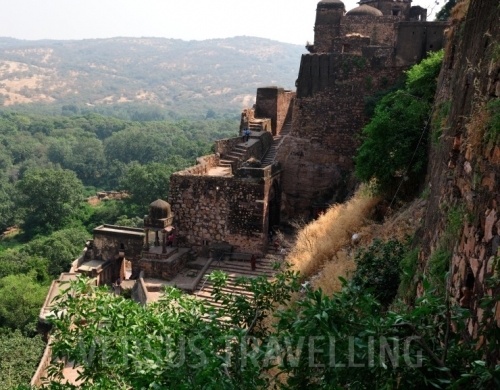 Golden Triangle with Ranthambore National park