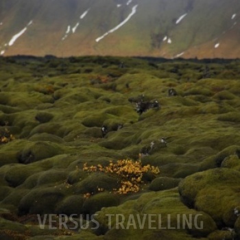 Iceland Volcanic Field